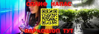 ГАЛЛЮЦИНОГЕННЫЕ ГРИБЫ Кингисепп