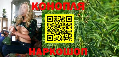 ГАЛЛЮЦИНОГЕННЫЕ ГРИБЫ Кингисепп
