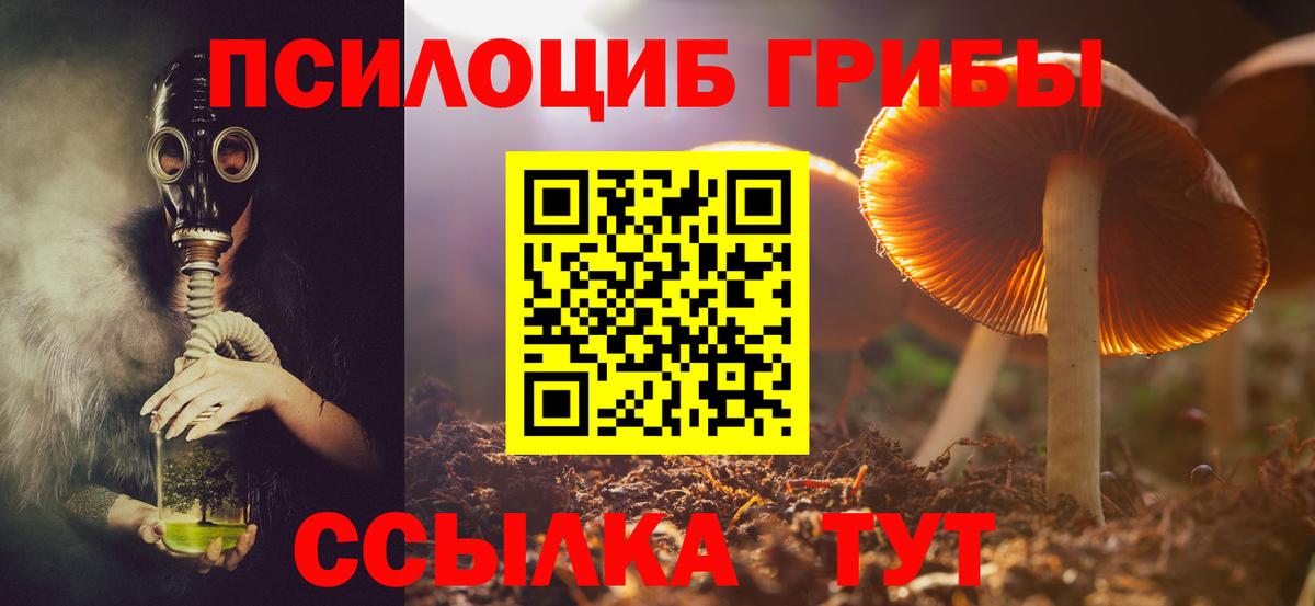 Псилоцибиновые грибы мухоморы  купить наркотик  Арсеньев  Вход с VPN 